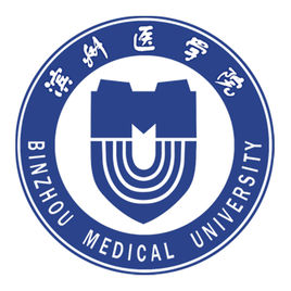 滨州医学院是公办还是民办大学? 滨州医学院是公办还是民办大学?