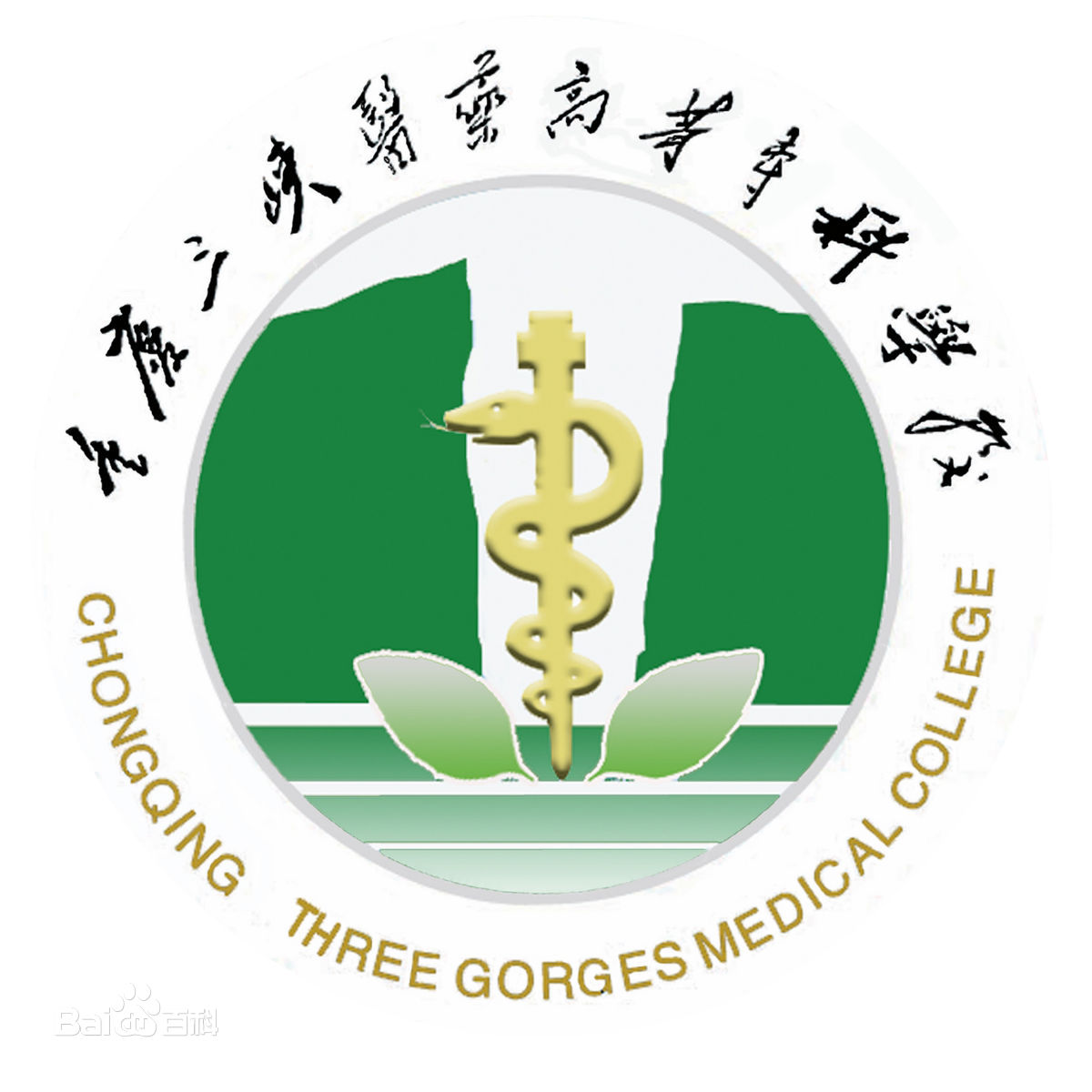 重庆三峡医药高等专科学校中外合作办学专业有哪些? 重庆三峡医药高等专科学校中外合作办学专业有哪些?