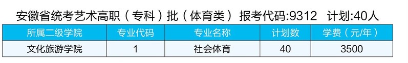 2023安徽国际商务职业学院各省招生计划及招生人数 具体招哪些专业 2023安徽国际商务职业学院各省招生计划及招生人数 具体招哪些专业