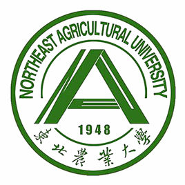 2022东北农业大学中外合作办学分数线(含2020-2021历年) 2022东北农业大学中外合作办学分数线(含2020-2021历年)