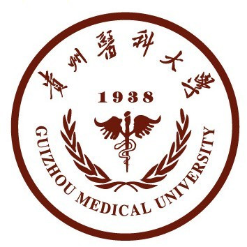 2022贵州医科大学中外合作办学分数线(含2021年) 2022贵州医科大学中外合作办学分数线(含2021年)