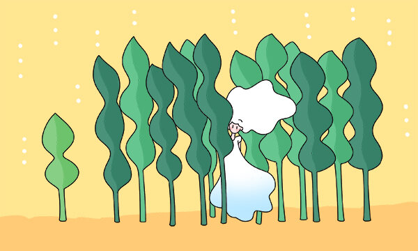 西安财经大学有哪几个校区及校区地址公交站点 分别都在哪里 西安财经大学有哪几个校区及校区地址公交站点 分别都在哪里