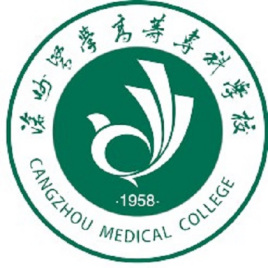 2021沧州医学高等专科学校中外合作办学分数线(含2020录取) 2021沧州医学高等专科学校中外合作办学分数线(含2020录取)