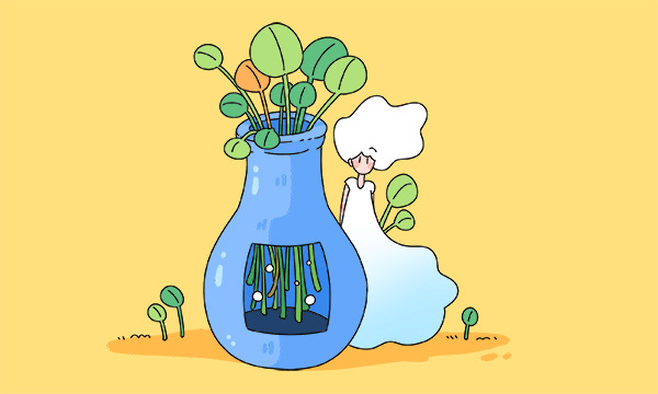 艺考是怎么样的流程 应该怎样备考 艺考是怎么样的流程 应该怎样备考