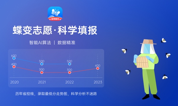 2024志愿填报时专业代码怎么填 需要注意什么 2024志愿填报时专业代码怎么填 需要注意什么