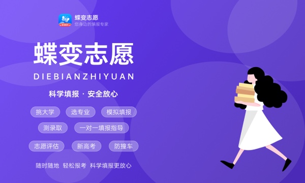 2024湖南前十的大专学校 2024湖南前十的大专学校