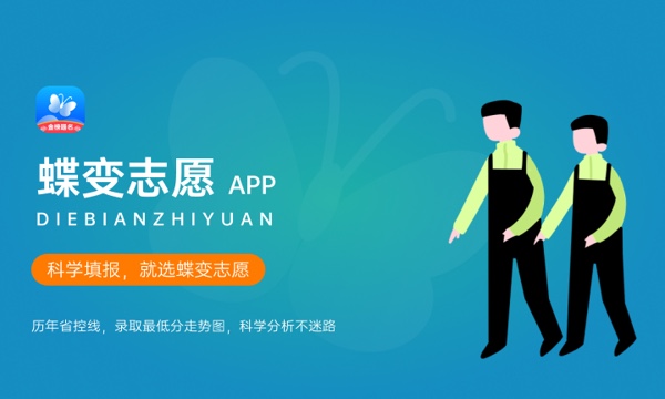 2024平行志愿录取规则及填报技巧 怎么填比较好 2024平行志愿录取规则及填报技巧 怎么填比较好