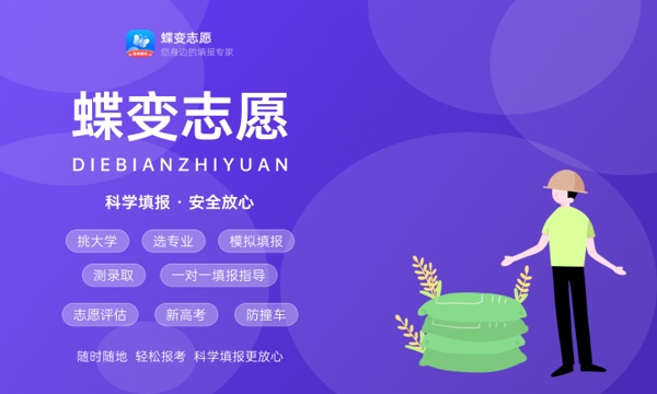 2024如何填报高考志愿 2024如何填报高考志愿