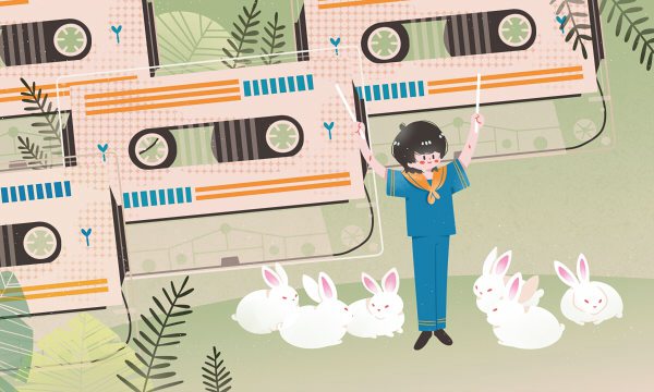 2024安徽中外合作办学专科学校名单有哪些 2024安徽中外合作办学专科学校名单有哪些