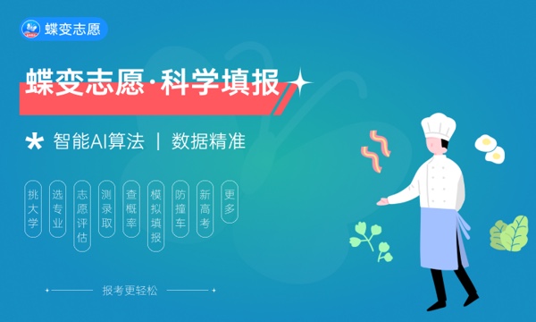 高考时间2024年时间表新高考 高考时间2024年时间表新高考