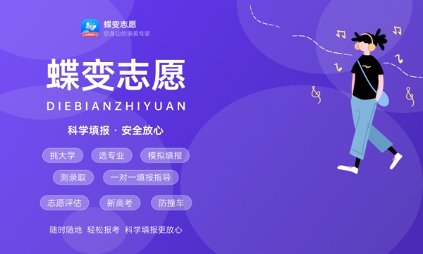 高考317分算什么水平 2024能上哪些大学 高考317分算什么水平 2024能上哪些大学