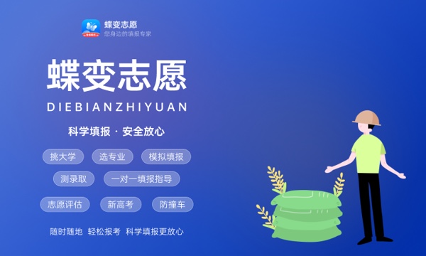 2024天津现代职业技术学院各专业录取分数线 附全国各省最低分及位次 2024天津现代职业技术学院各专业录取分数线 附全国各省最低分及位次