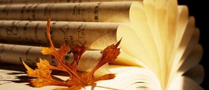 2023四川外国语大学成都学院各省录取分数线是多少 投档最低分及位次