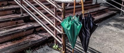 2024眉山最好小学排名前十 眉山小学排名一览表