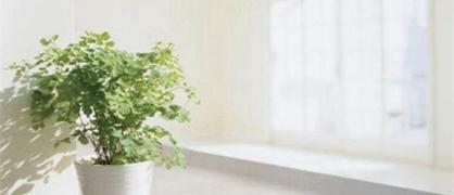 黑龙江中医药大学有几个校区及校区地址位置在哪里各校区开设专业