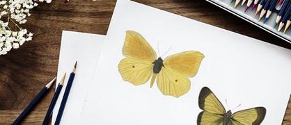 东南大学成贤学院有几个校区及校区地址位置在哪里各校区开设专业