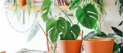 湖南工业大学和攀枝花学院哪个好？谁更厉害？附差距对比