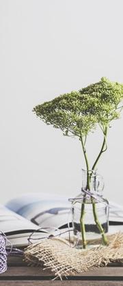 初中宿舍哪个床位最好 选哪个位置好