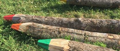 衡阳幼儿师范高等专科学校好不好怎么样 衡阳幼儿师范高等专科学校值不值得报考