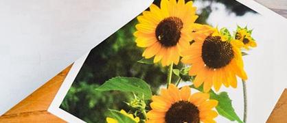 伊犁师范大学和河西学院哪个好？谁更厉害？附差距对比