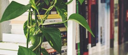 甘肃中医药大学和珠海科技学院哪个好？谁更厉害？附差距对比