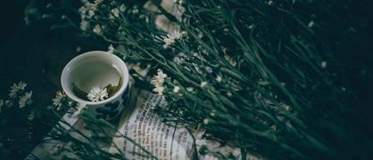 南京师范大学泰州学院有几个校区及校区地址位置在哪里各校区开设专业