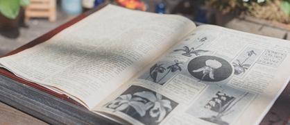 武汉纺织大学和楚雄师范学院哪个好？谁更厉害？附差距对比